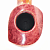  Winslow - Crown 200 - 236 ( 9 )