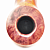  Winslow - Crown 200 - 234 ( 9 )